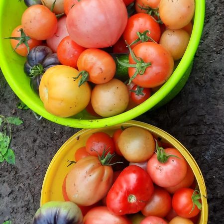 WhatsApp Image 2025-10-22 at 09.04.33 (1)