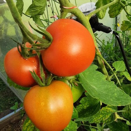 WhatsApp Image 2025-10-22 at 09.04.33 (2)