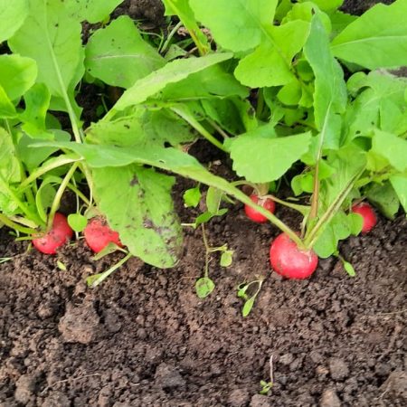 WhatsApp Image 2025-10-22 at 09.04.36