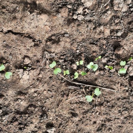 WhatsApp Image 2025-10-22 at 09.04.37